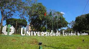 Servidores elegem nesta quarta-feira (25) representantes nos Conselhos e Câmara - A votação ocorrerá entre às 8 e 17 horas. Poderão votar todos os agentes universitários que integram a carreira técnica universitária.